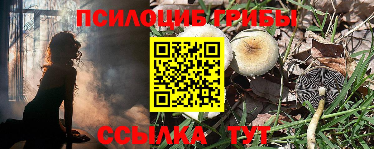Галлюциногенные грибы MAGIC MUSHROOMS  Галлюциногенные грибы MAGIC MUSHROOMS  Вход с VPN  Обнинск 